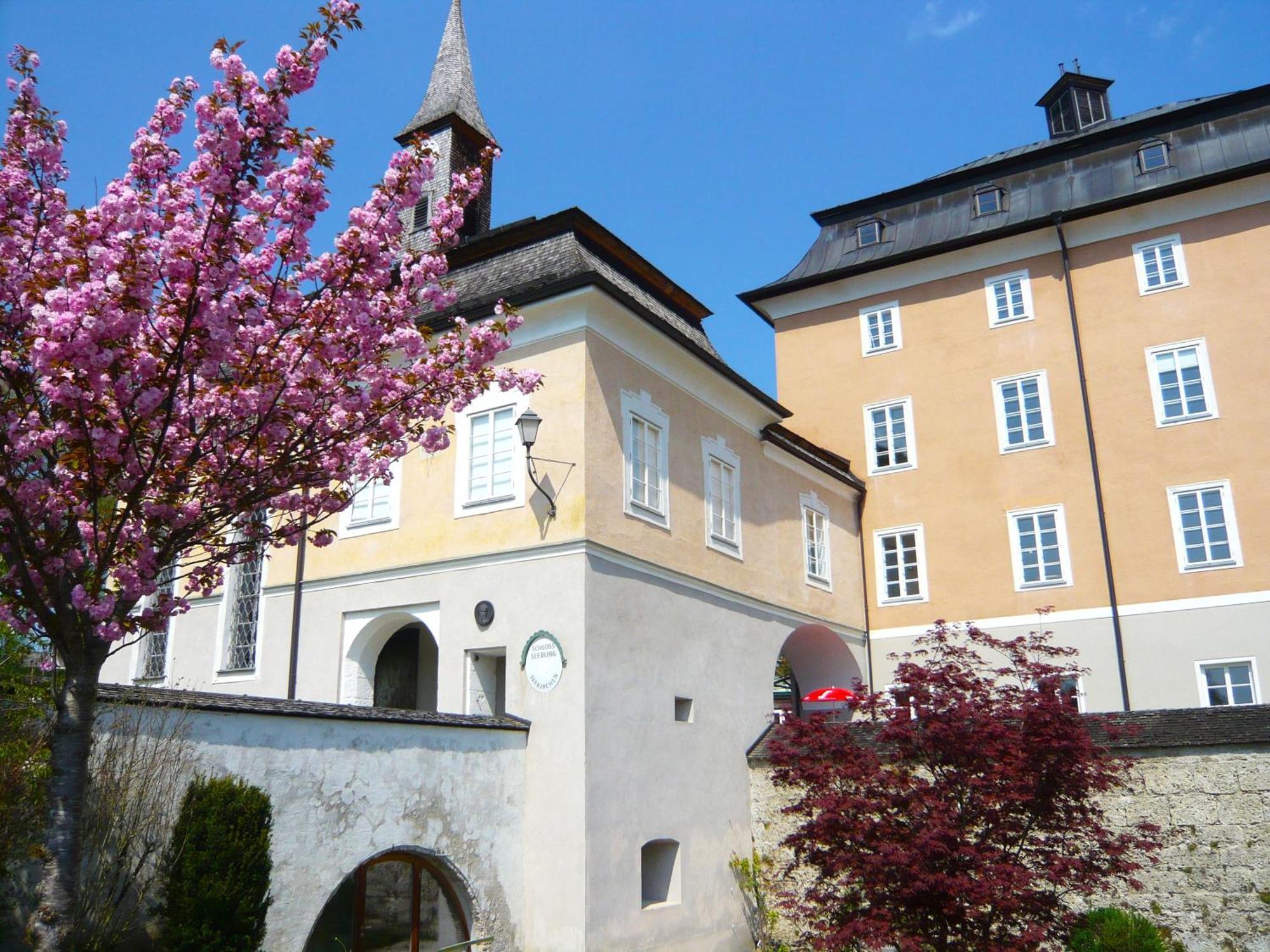 Haus Am Weinberg Daire Seekirchen am Wallersee Dış mekan fotoğraf