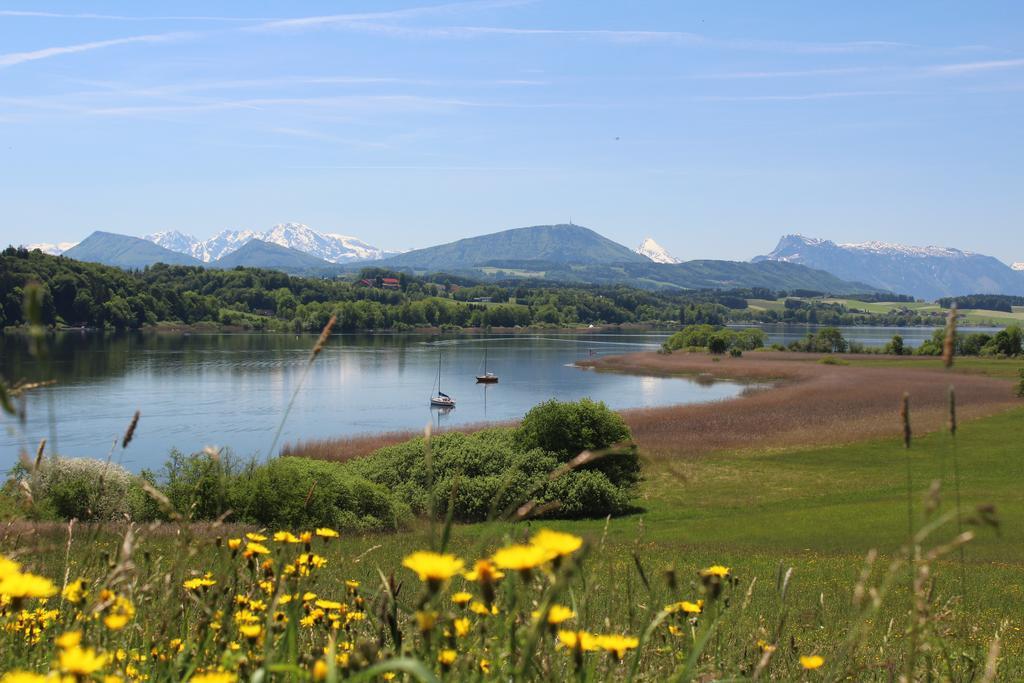 Haus Am Weinberg Daire Seekirchen am Wallersee Dış mekan fotoğraf